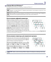 Страница 29