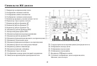 Страница 43