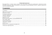 Страница 25