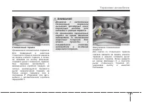 Страница 271