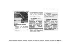 Страница 291