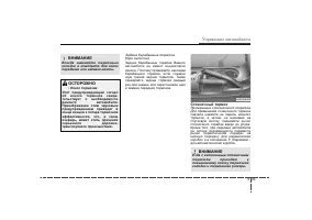 Страница 236