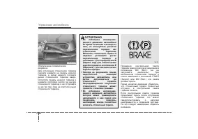 Страница 237