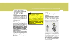 Страница 239