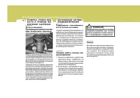 Страница 242