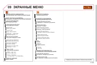 Страница 263