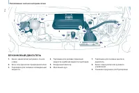 Страница 116