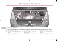Страница 176
