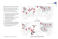 Страница 229