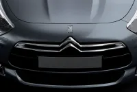 Страница 219