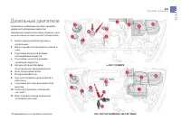 Страница 223