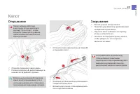 Страница 239