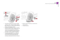 Страница 261