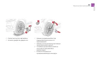 Страница 263