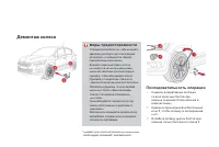 Страница 256