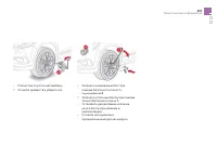 Страница 259
