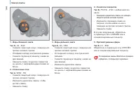 Страница 146