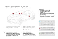 Страница 252