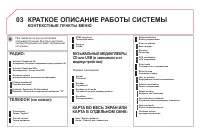 Страница 264