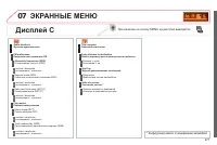 Страница 273