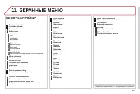 Страница 243