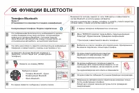 Страница 261