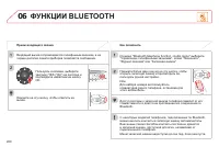 Страница 262