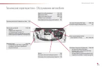 Страница 275