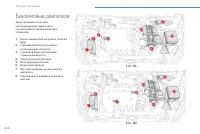 Страница 216