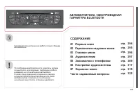 Страница 295