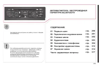Страница 291