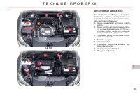 Страница 167