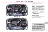 Страница 169
