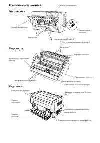 Страница 240