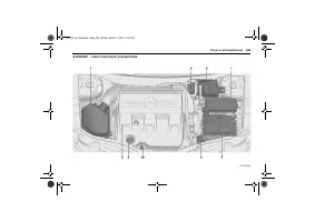 Страница 343