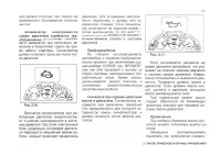 Страница 57