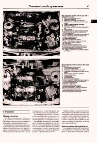 Страница 45