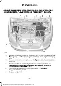 Страница 126