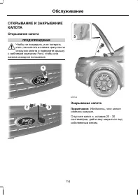 Страница 116