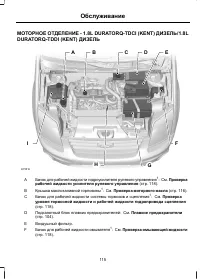 Страница 117