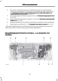 Страница 175