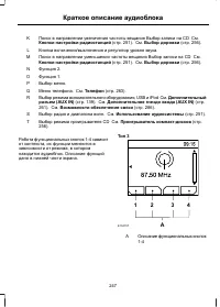 Страница 249