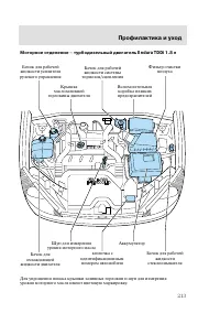 Страница 216