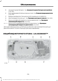 Страница 236