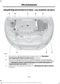 Страница 238