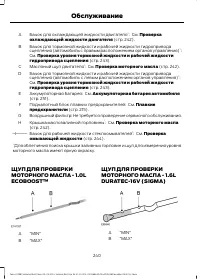 Страница 242
