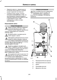 Страница 231