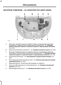 Страница 226