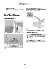Страница 247