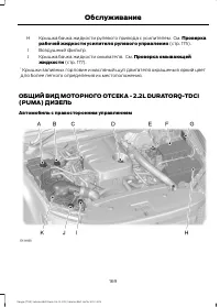 Страница 171